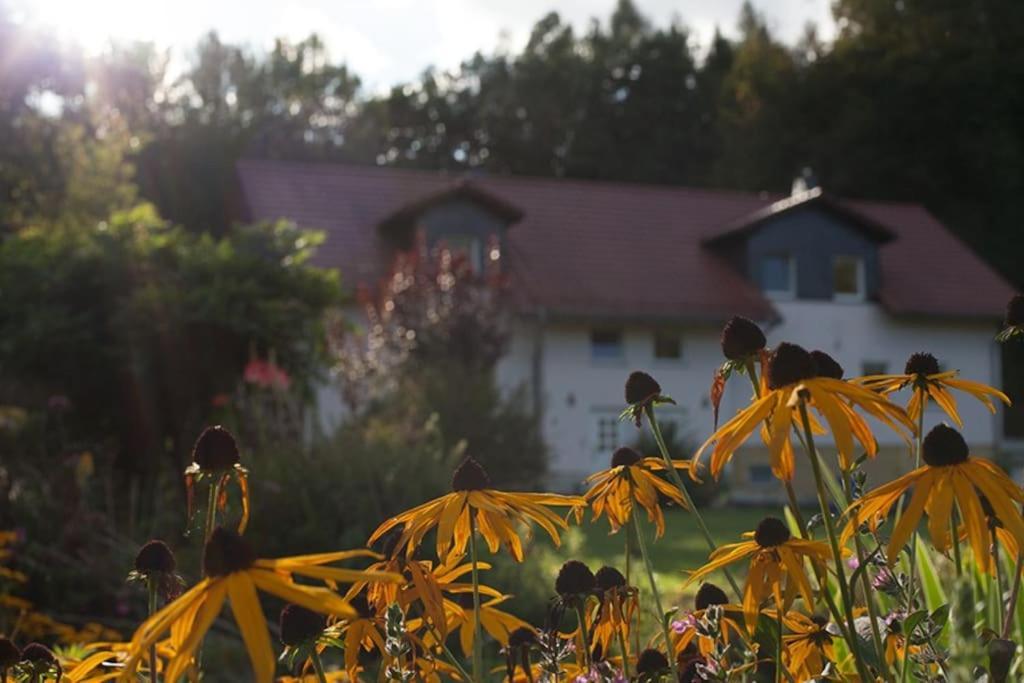 Wald-Apartment Limabach - Oberfrohna Kültér fotó