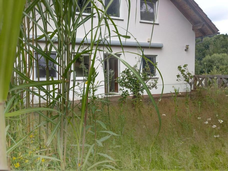 Wald-Apartment Limabach - Oberfrohna Kültér fotó