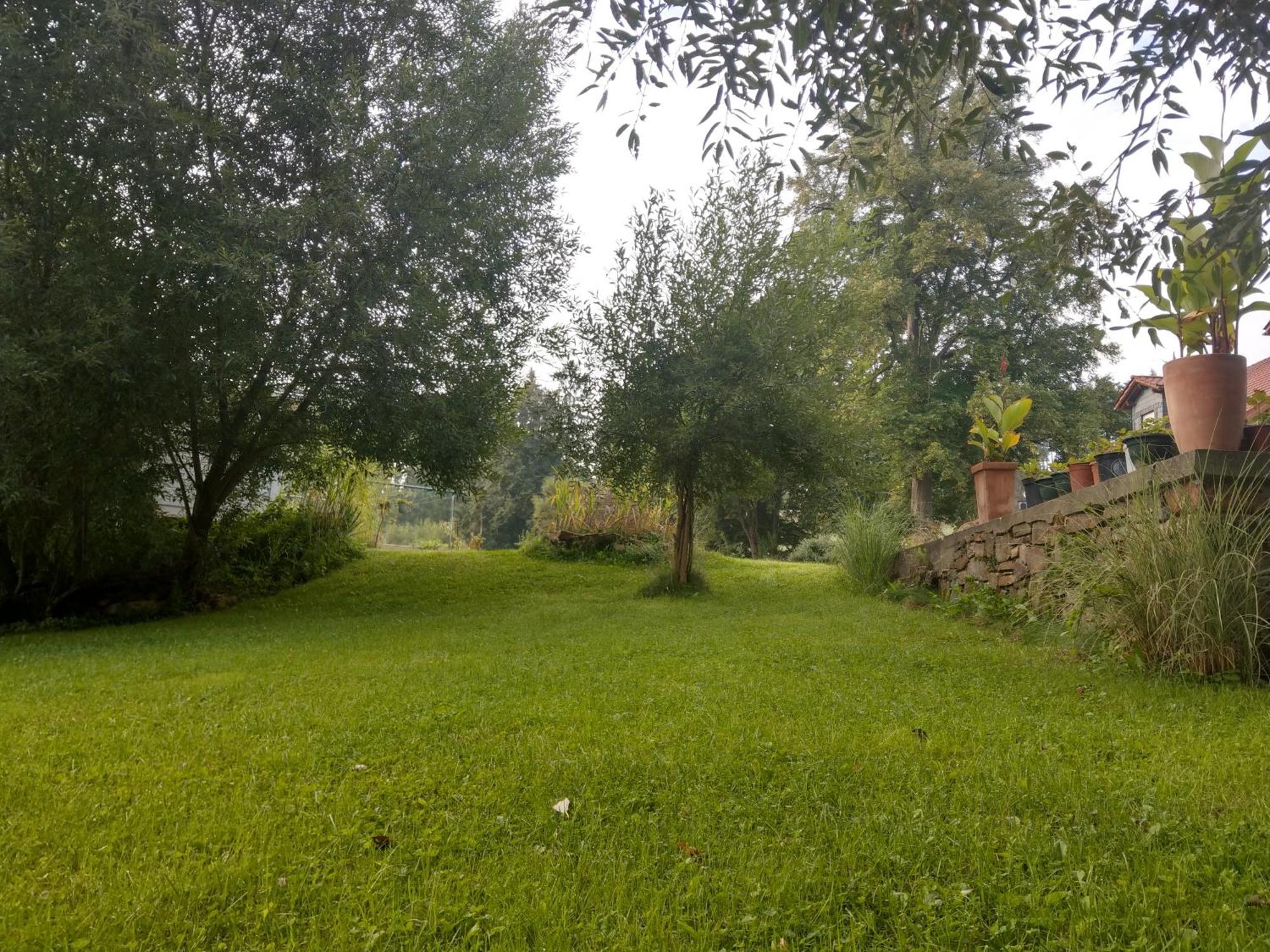 Wald-Apartment Limabach - Oberfrohna Kültér fotó